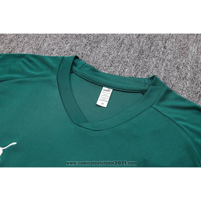 Fato de Treino Palmeiras Manga Curta 2023-2024 Verde - Calcas Curta